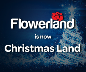 Call Pam Spring Advertising in Grand Rapids for all your radio, online & TV advertising needs. Billboards & integrated marketing too!