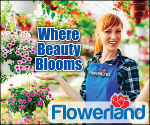 Call Pam Spring Advertising in Grand Rapids for all your radio, online & TV advertising needs. Billboards & integrated marketing too!